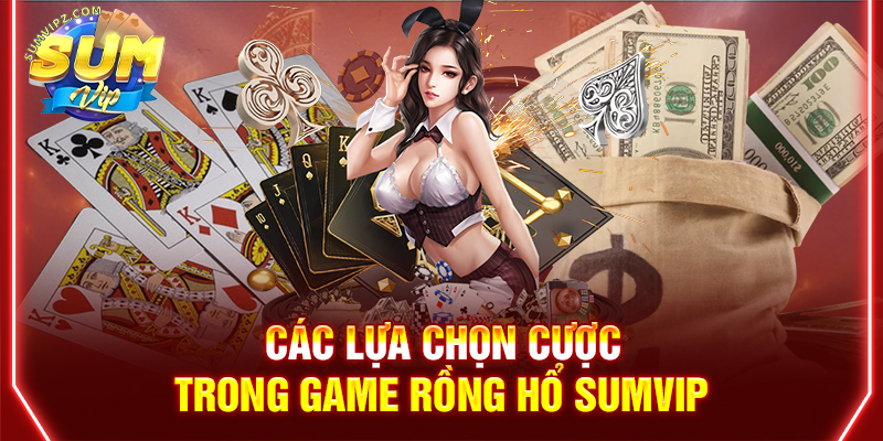 Các lựa chọn cược trong game Rồng Hổ Sumvip