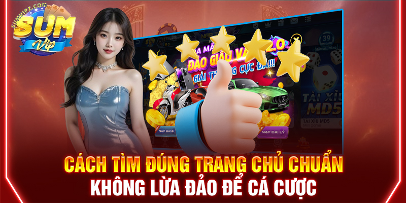 Cách tìm đúng trang chủ chuẩn không lừa đảo để cá cược