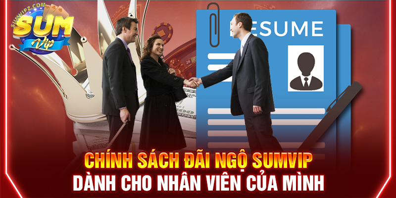 Chính sách đãi ngộ Sumvip dành cho nhân viên của mình
