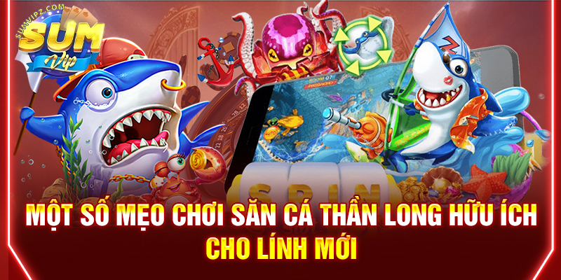 Một số mẹo chơi săn cá thần long hữu ích cho lính mới