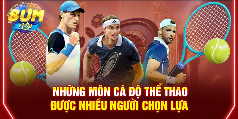 Những môn cá độ thể thao được nhiều người chọn lựa