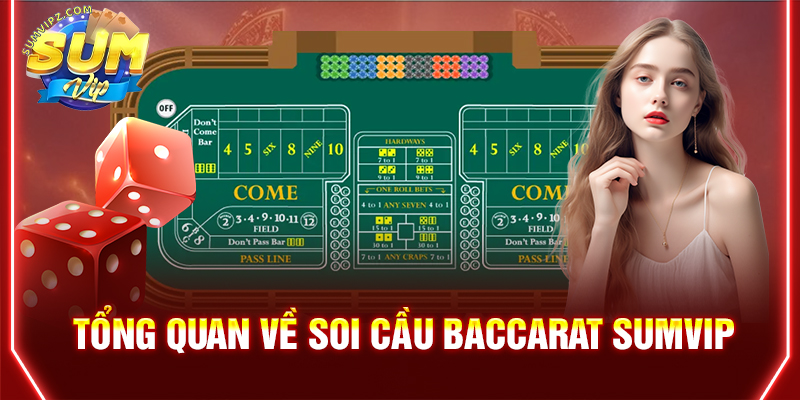 Tổng quan về soi cầu Baccarat Sumvip