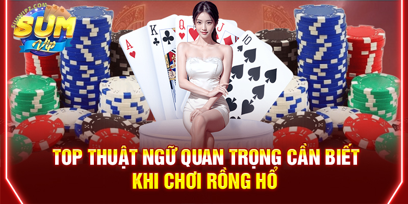 Top thuật ngữ quan trọng cần biết khi chơi Rồng Hổ